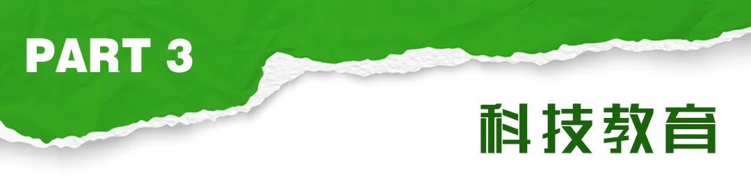 113.jpg